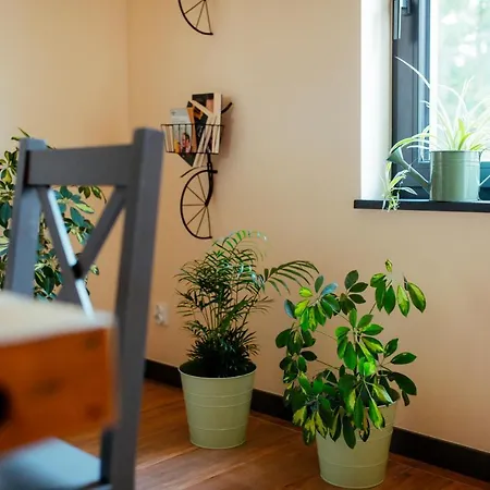 Wywialowo オルシュティン