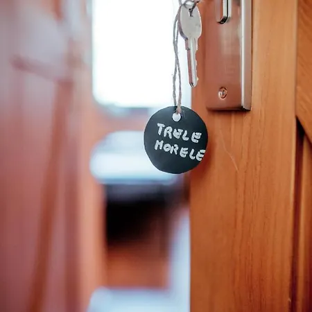 Wywialowo ファームステイ *