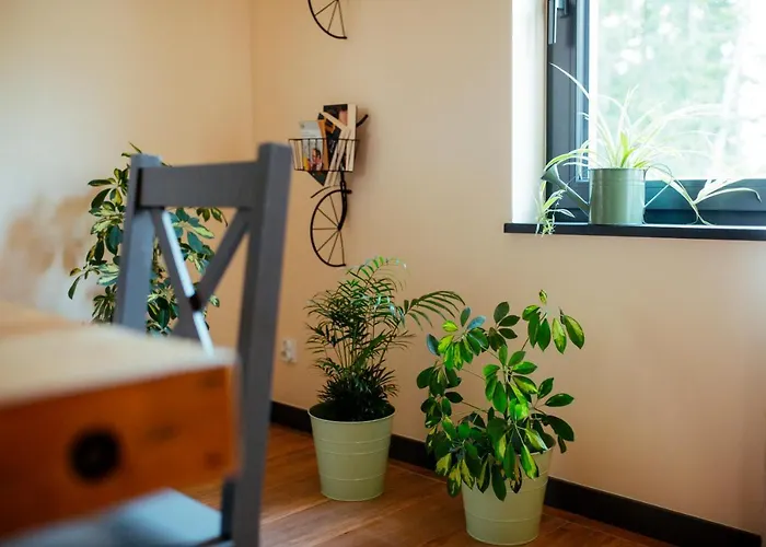 Wywialowo Olsztyn (Silesia)